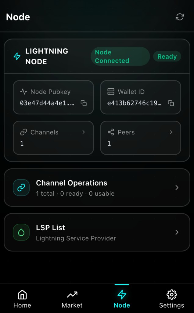 Stash Wallet Node page: node connection and ready status, pubkey, wallet ID, channel and peer counts